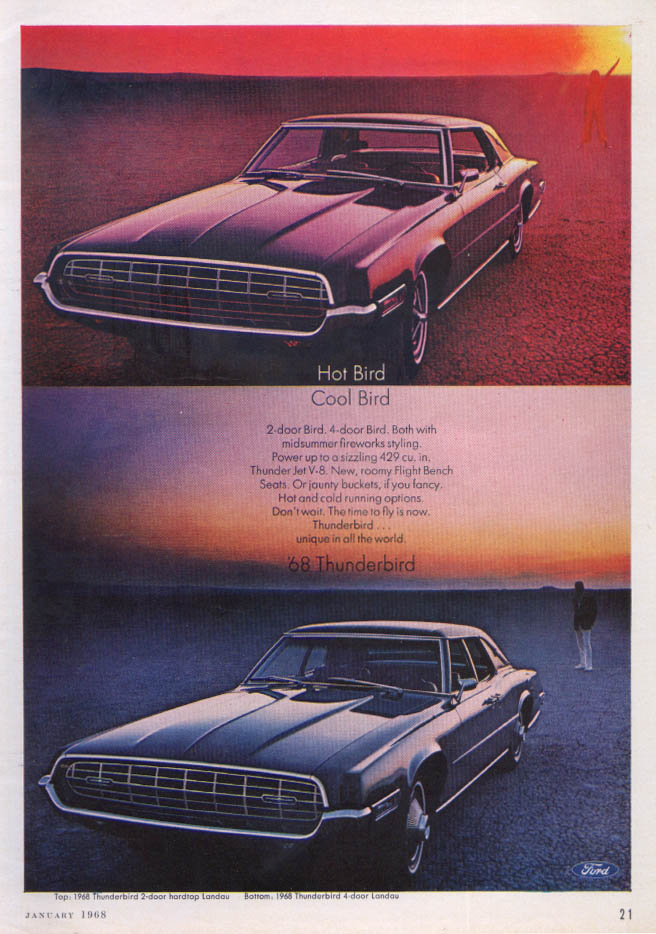 Image for Hot Bird Cool Bird Thunderbird ad 1968