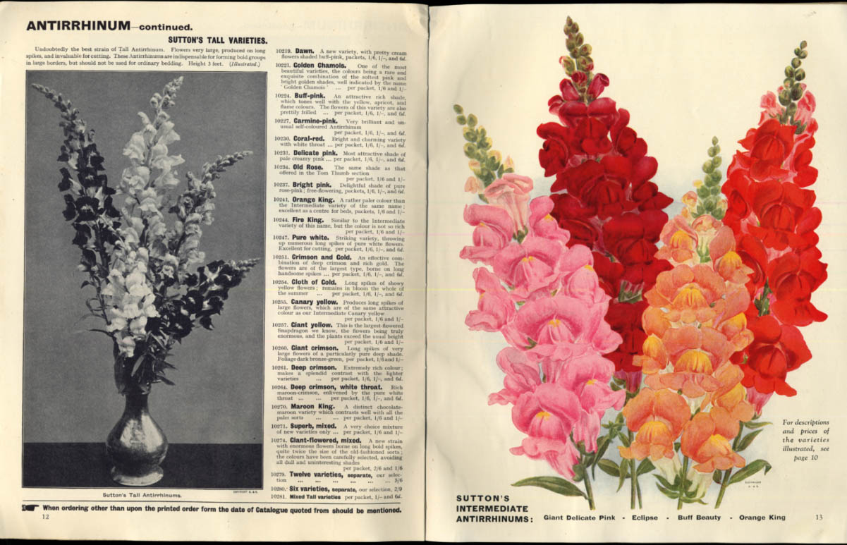 Sutton's Seeds Horticulture & General Seed Catalog 1933 Reading England