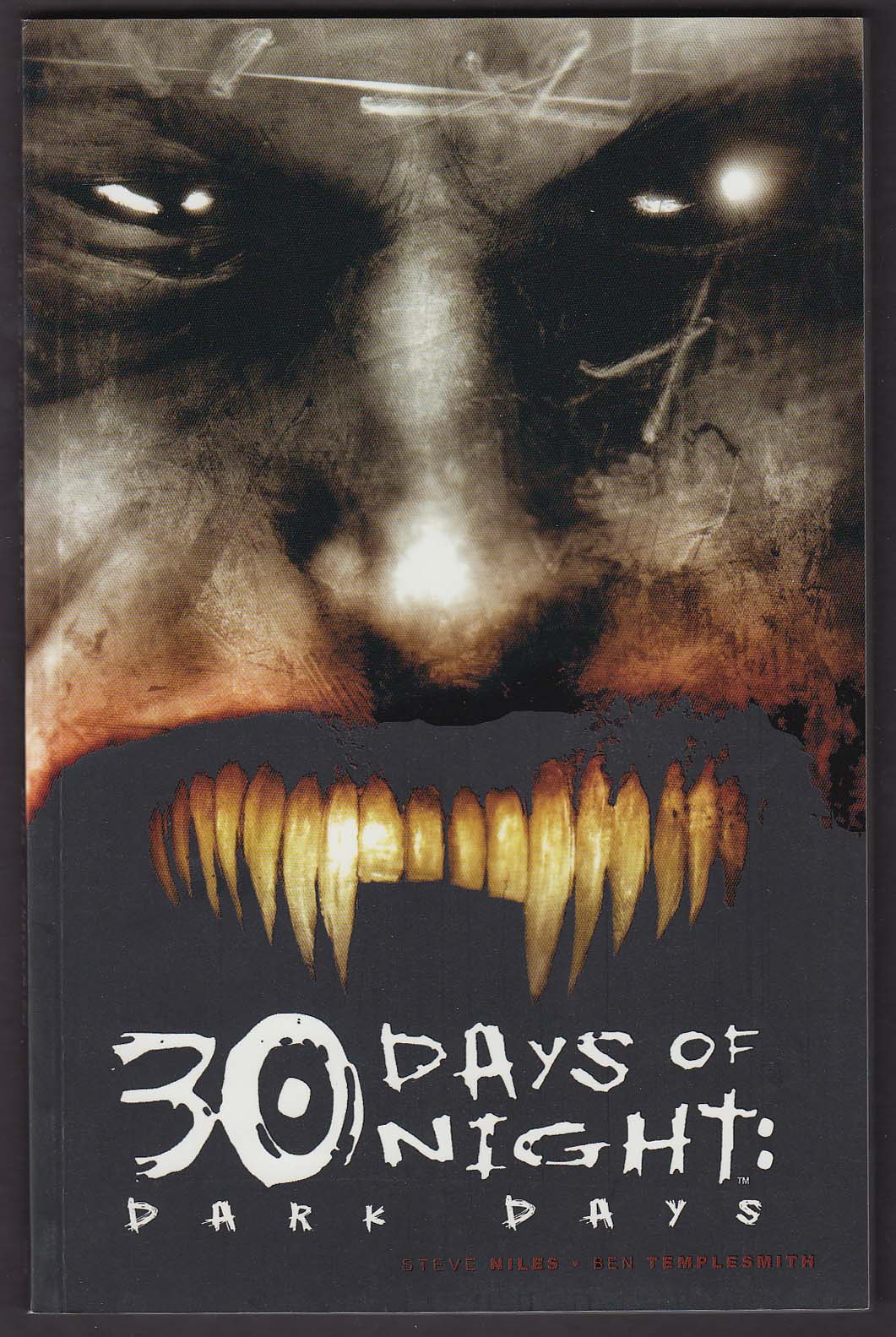 Image for 30 Days of Night: Dark Days #2 IDW graphic novel comic book 2nd printing 2007