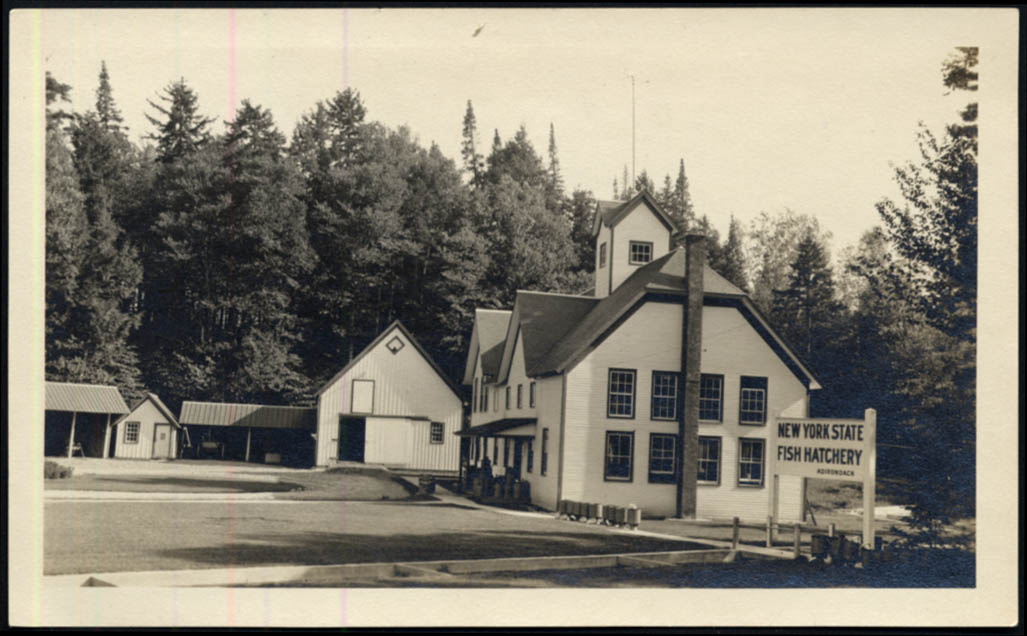 Image for New York State Fish Hatchery Adirondack NY photo 1917 main buildings
