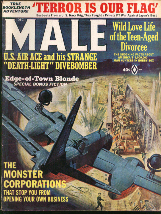 Image for Death-Light Divebomber NASA Gen Lightning Lee Davis MALE 12 1965