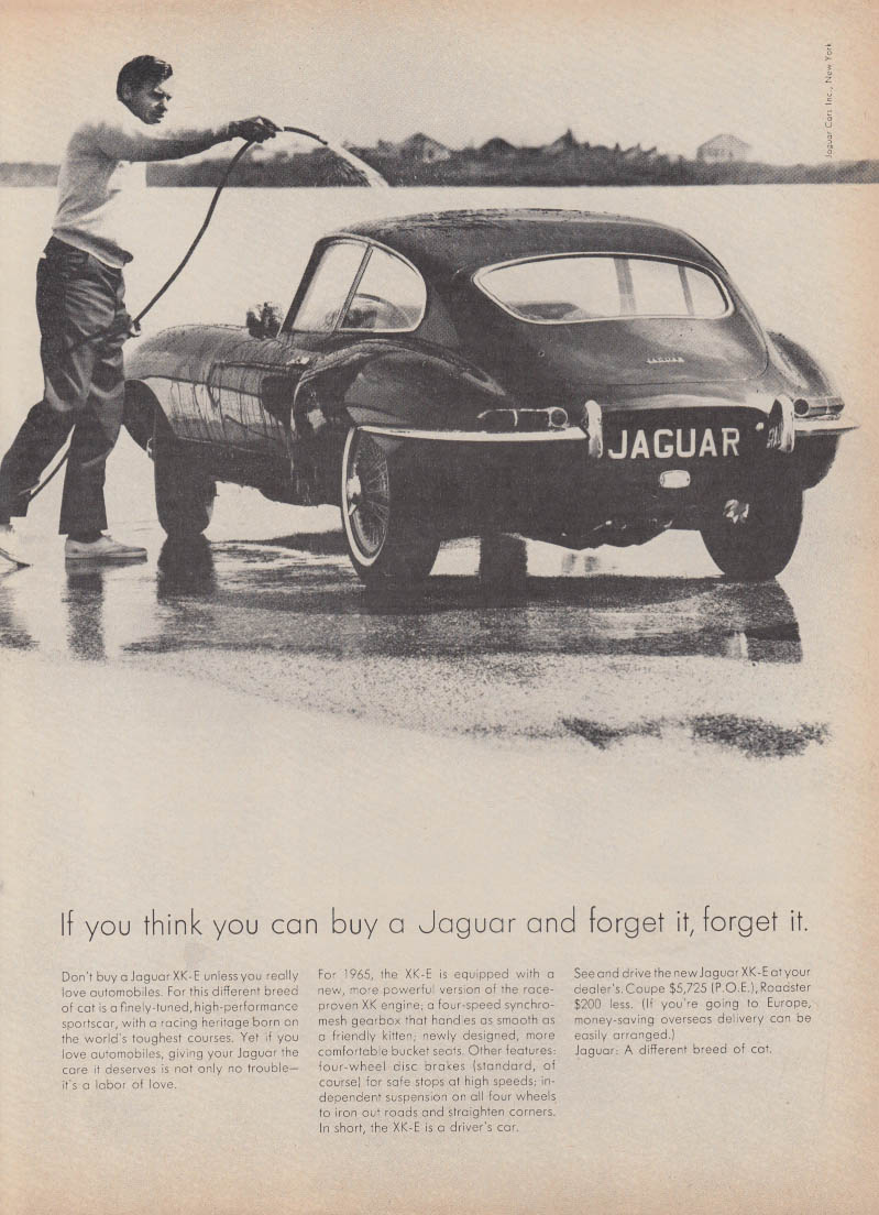 Image for If you think you can buy a Jaguar XKE & forget it, forget it ad 1965 Nwk