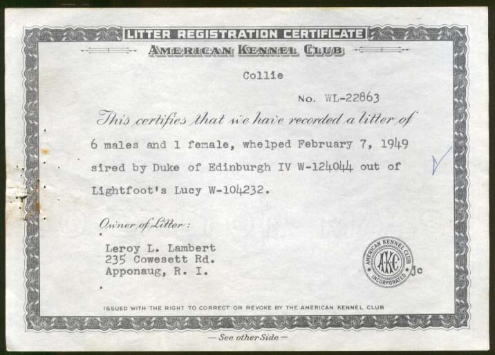 Image for AKC Collie Litter Registration Duke Edinburgh Lightfoot's Lucy Apponaug RI 1949
