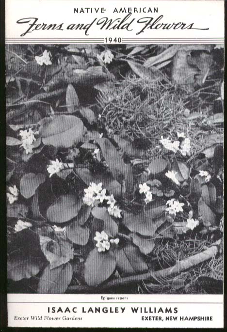 Image for Isaac Langley Williams Native American Fern & Wild Flower Catalog 1940
