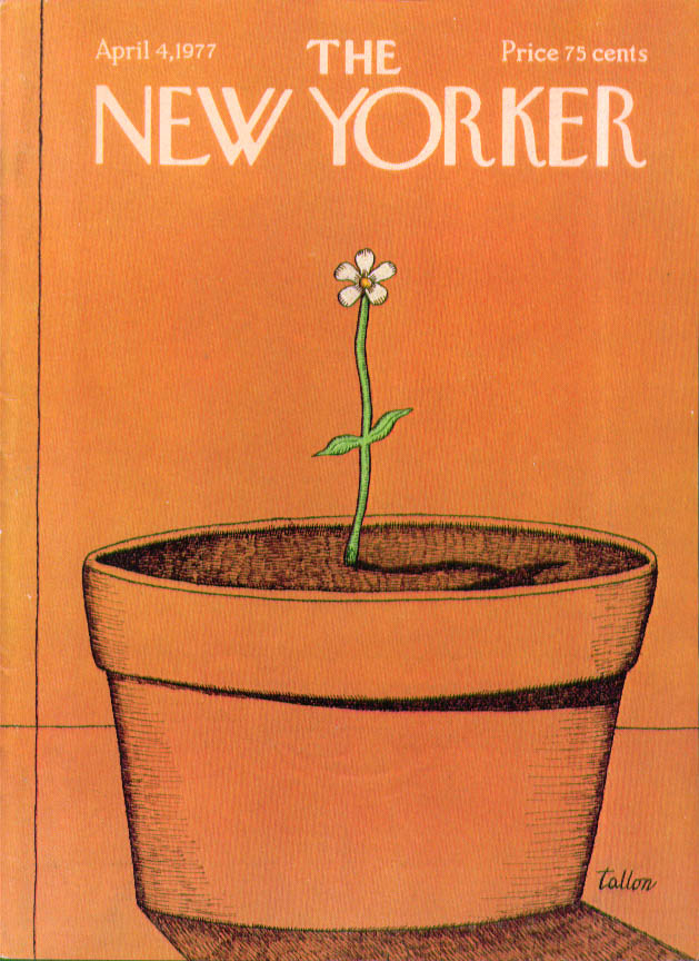 Image for New Yorker cover Tallon tiny sprout huge pot 4/4 1977