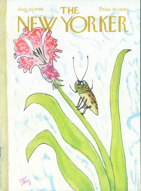 Image for New Yorker cover Steig fierce beetle 8/20 1966