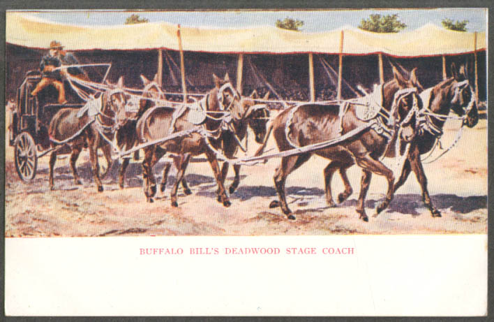 Image for Buffalo Bill's Deadwood Stage Coach postcard undivided back ca 1905