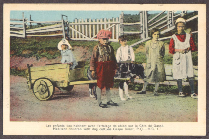 Image for One-dog cart Habitant children Gaspe Coast PQ postcard 1930s