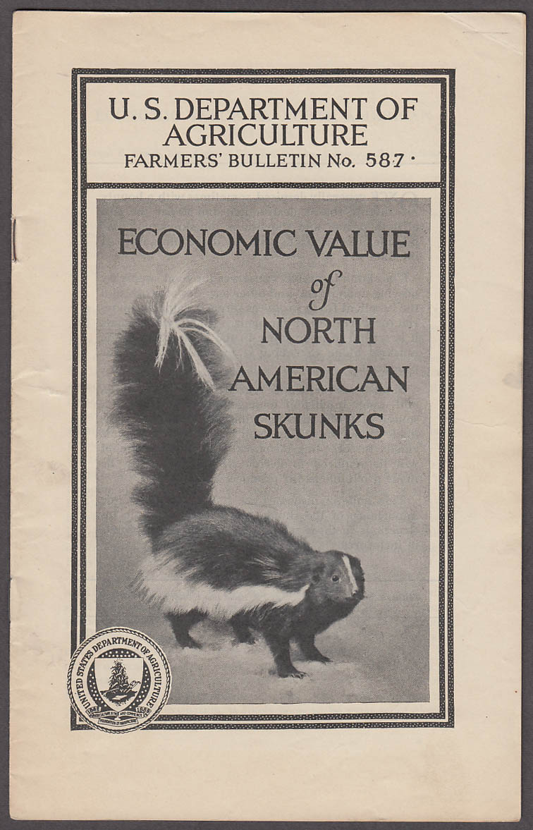 Image for Economic Value of North American Skunks US Dept Agriculture Bulletin 1923