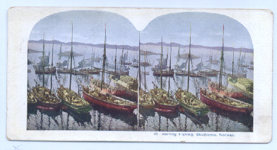 Image for Herring Fishing Norway color stereoview 189?