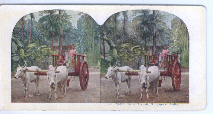 Image for 1900s Stereoview Oxcart Singapore