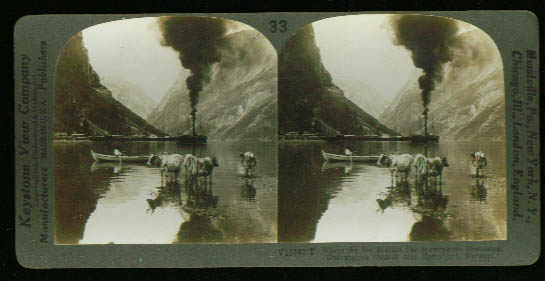 Image for Steamship Naerofjord Norway 1890s stereoview