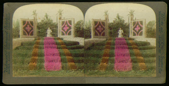 Image for Girl Washington Park Chicago flowers stereoview 1899?