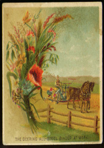 Image for J S Kirk Toilet Soap Swiss stamp trade card
