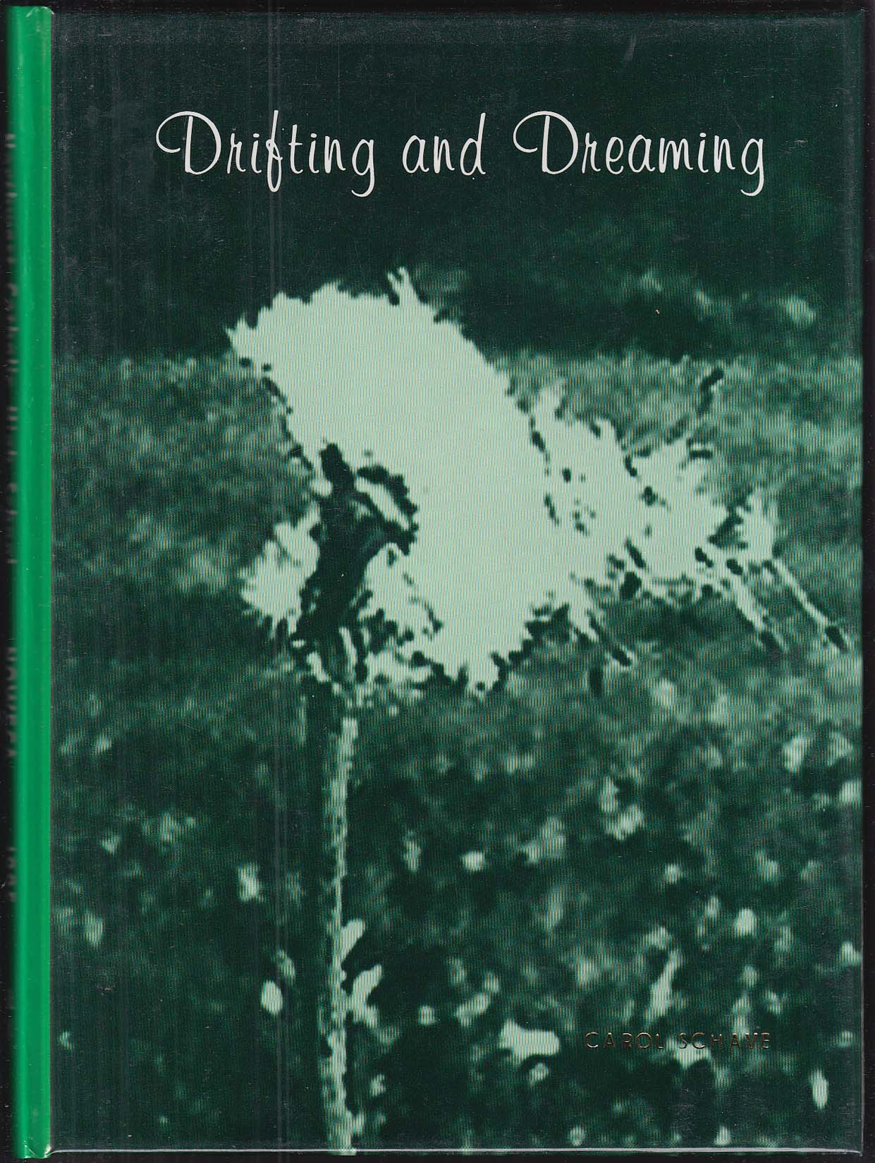 Image for NOWECA 1995 Yearbook