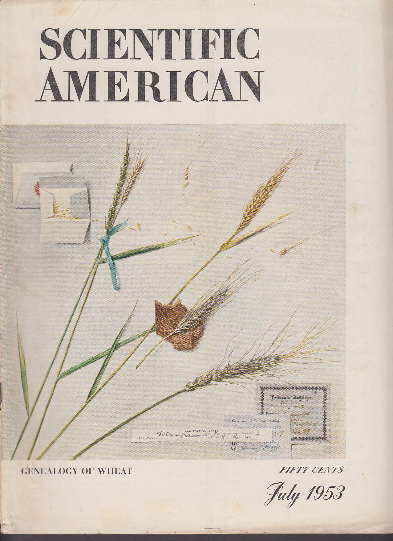 Image for SCIENTIFIC AMERICAN Gamma Globulin Hydrazine Radar Wheat Koenigsberg ++ 7 1953