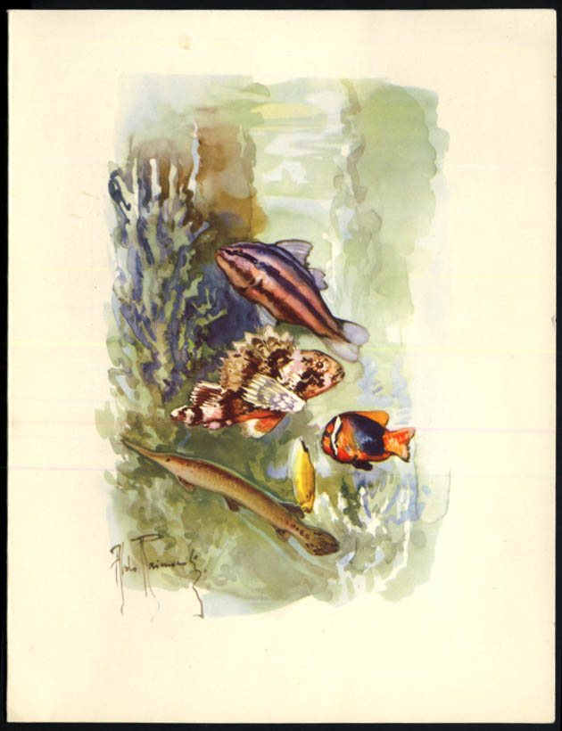 Image for Italian Line Tn Cristoforo Colombo Cabin Class Luncheon Menu 12/7 1957