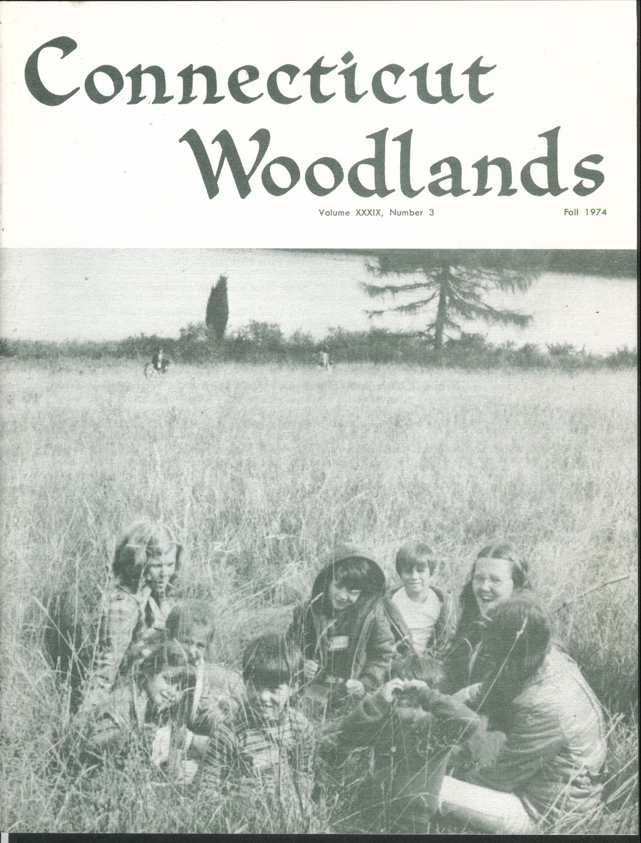 Image for CONNECTICUT WOODLANDS Garrepy State Forester Christmas Tree Growing ++ Fall 1974