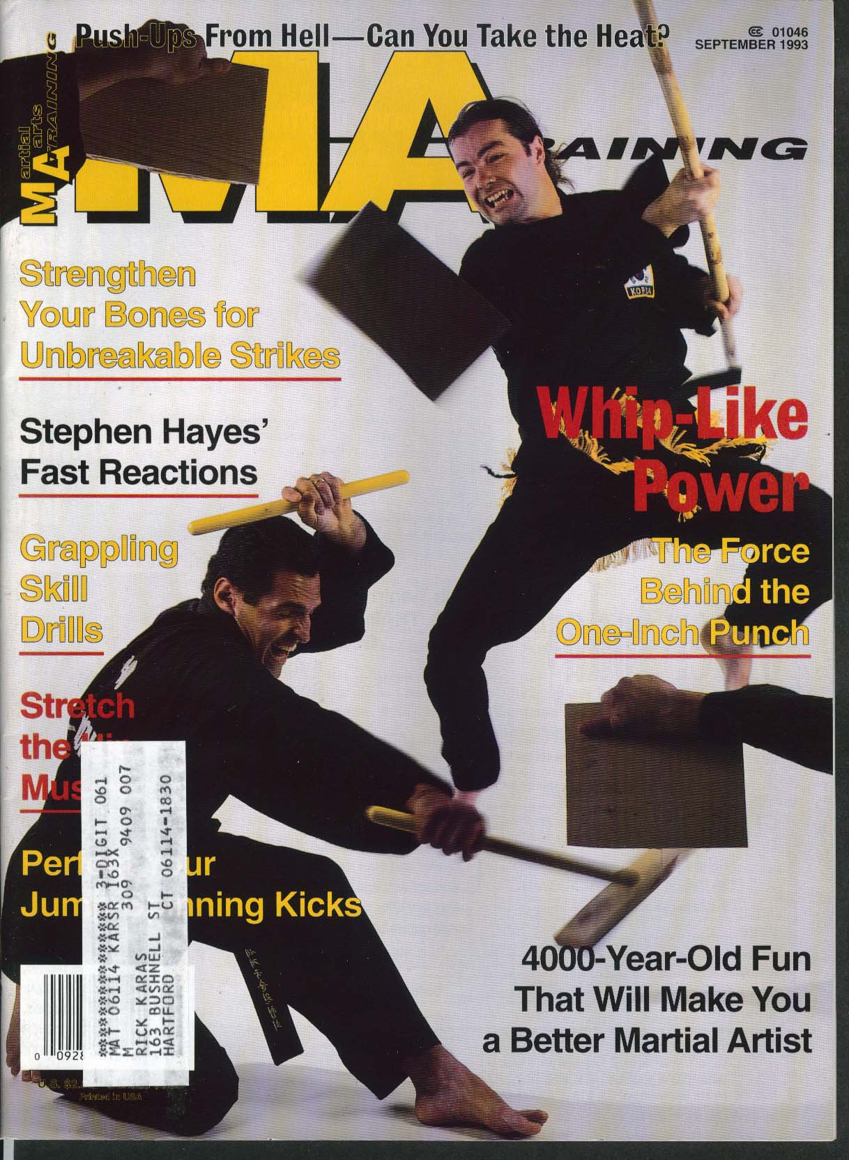 Image for MARTIAL ARTS MA TRAINING Stephen Hayes One-Inch Punch Grappling Skills 9 1993