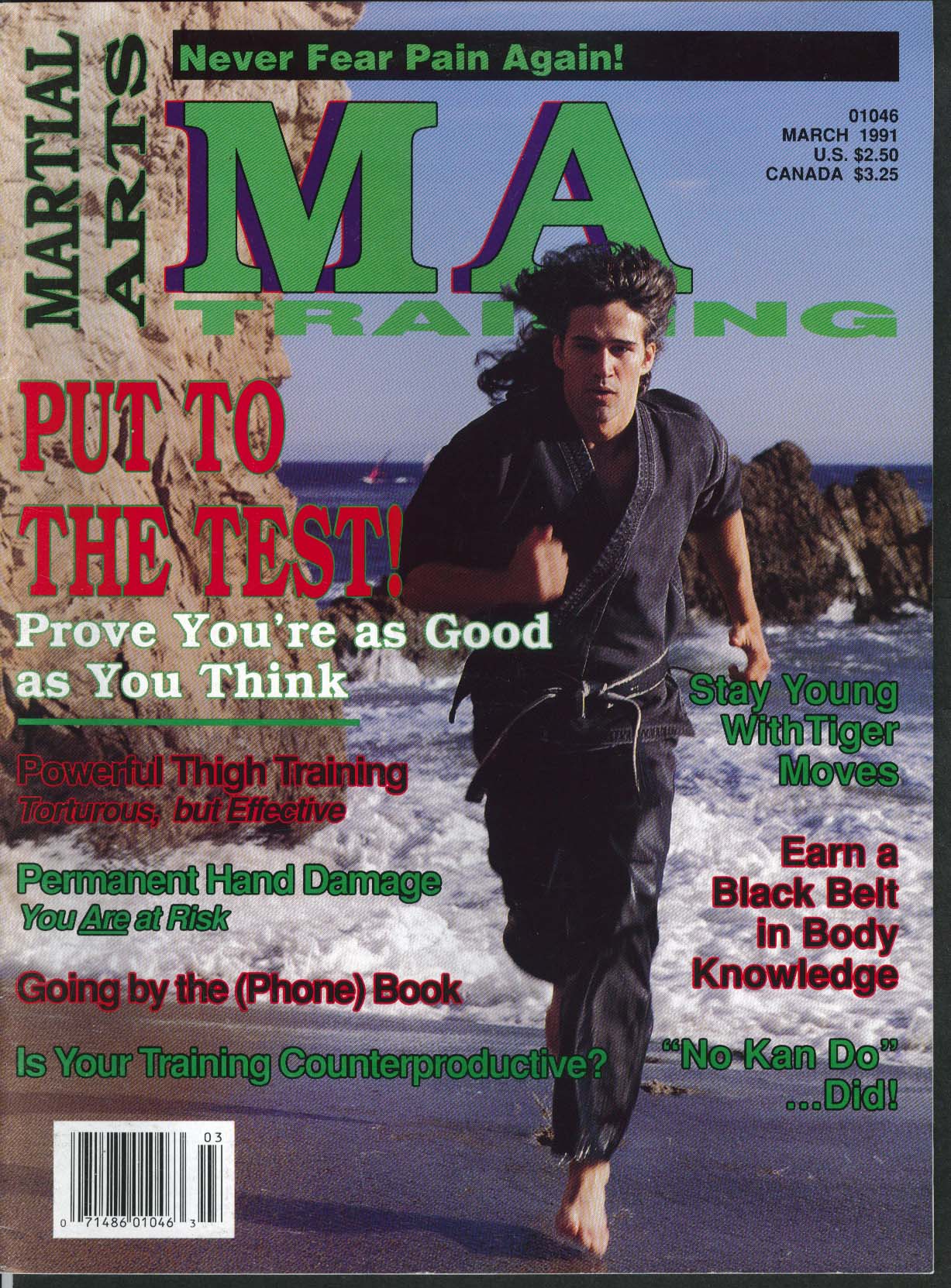 Image for MARTIAL ARTS MA TRAINING Tiger Moves Thigh Training Hand Damage Danger 3 1991